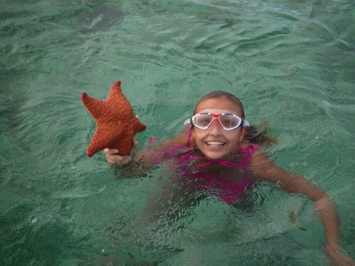 snorkeling in San pedro belize starfish
