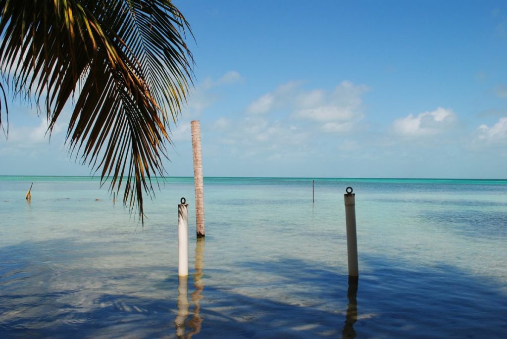 Sea view of Ambergris Caye Belize