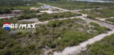 Grand Belizean Estates Lot 7338-7341 - February_2024 - DJI_0136-HDR
