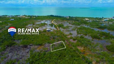 belize investment property near secret beach belize