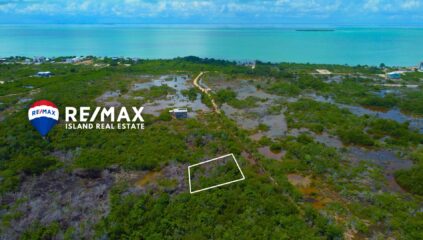 belize investment property near secret beach belize