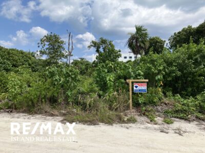 Buying land in belize. remax sign on a beachfront lot