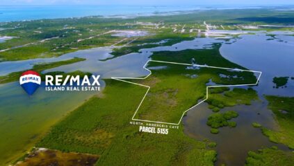 Aerial view of 11 acres of prime undeveloped land for sale in Ambergris Caye, Belize, showcasing the stunning natural landscape and proximity to the beach