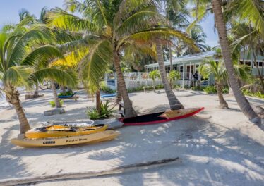 Beachfront luxury home for sale in Belize on Ambergris Caye, with stunning ocean views and tropical landscaping