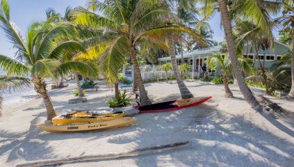 Beachfront luxury home for sale in Belize on Ambergris Caye, with stunning ocean views and tropical landscaping