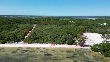 Aerial view of beachfront land in San Andres, Ambergris Caye, with outlined lot area showing 243' oceanfront and 586' depth, highlighting the property's prime location