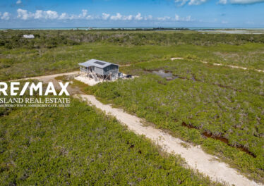 aerial of palmaya woods subdivision