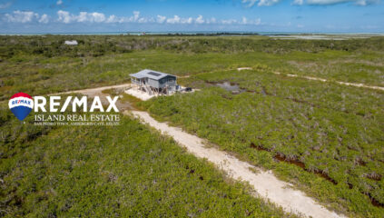 aerial of palmaya woods subdivision