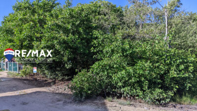 picture of land on south Caye Caulker