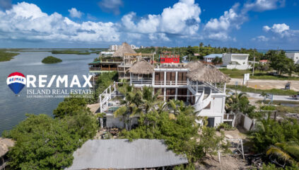 Bamboo House Arial view