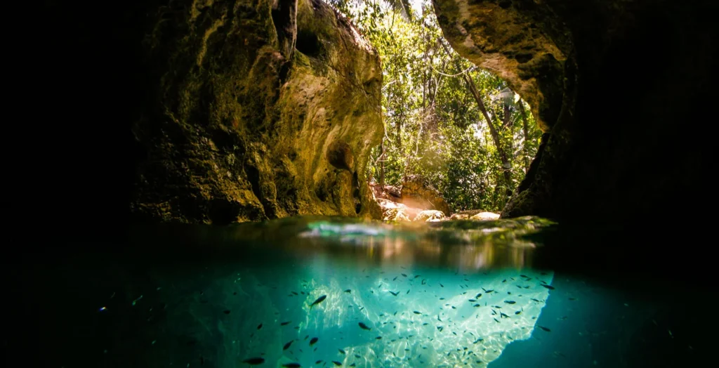 Picture looking from inside the ATM cave of Belize